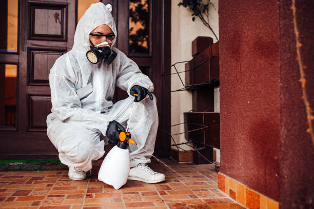 Reliable Ant Control contractor in Highlands Ranch, CO by Show Me Pest Control